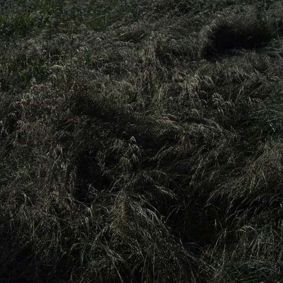 http://www.juliehauber.fr/files/gimgs/th-38_pour site_LBO 05 2024@JulieHauber-5.jpg